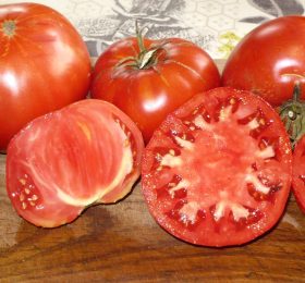 Tomate Rosie de Gradina :