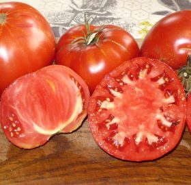 Tomate Rosie de Gradina :