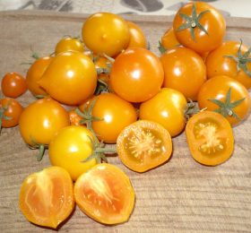 Tomate Utyonok: